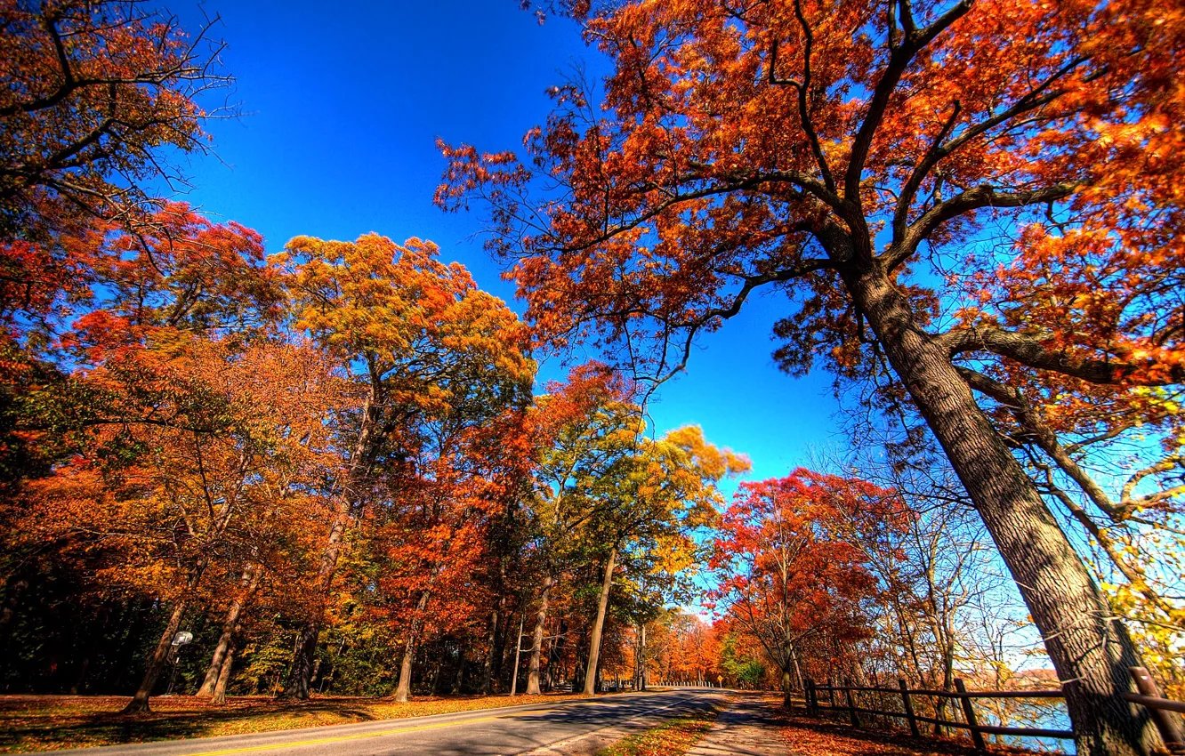 Photo wallpaper road, autumn, the sky, leaves, trees, landscape