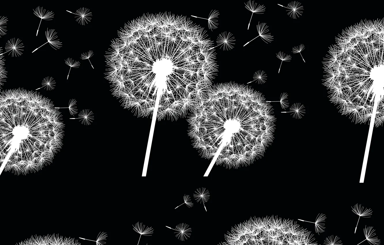 Photo wallpaper background, dandelion, texture, texture, background, dandelion