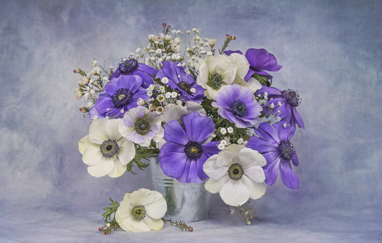 Photo wallpaper purple, macro, flowers, bouquet, white, still life, lilac, bucket