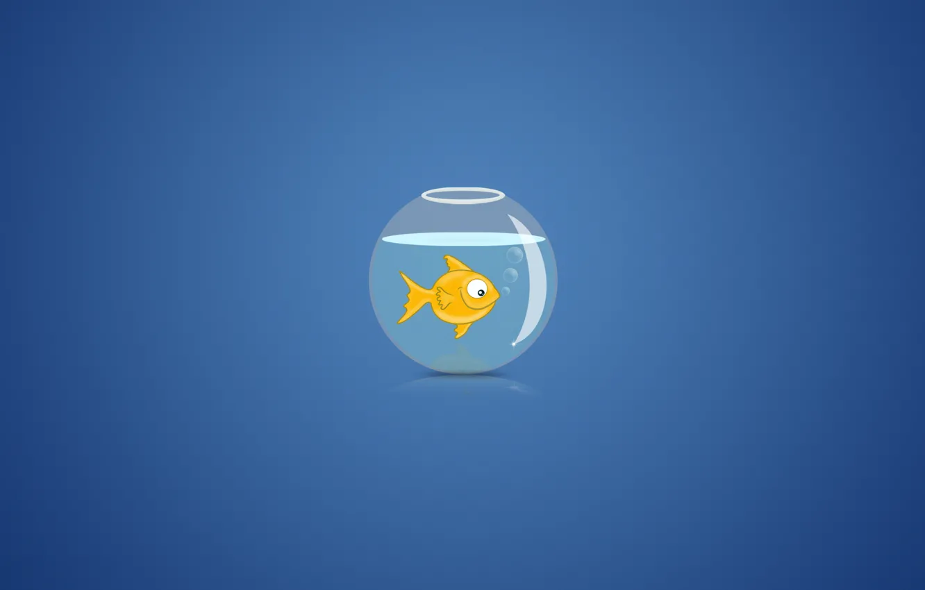 Photo wallpaper water, bubbles, background, aquarium, goldfish