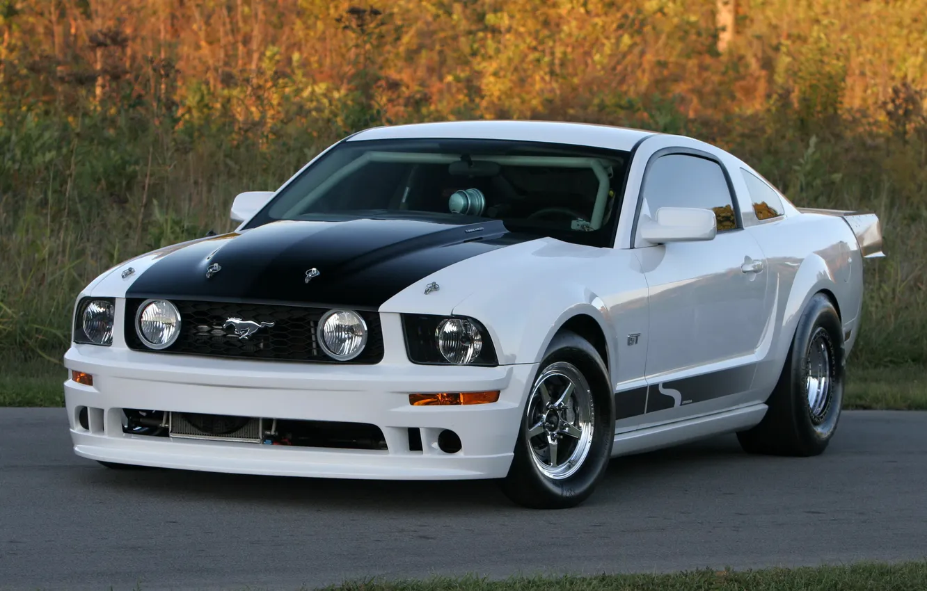 Photo wallpaper auto, Mustang, Ford, Moto, drag