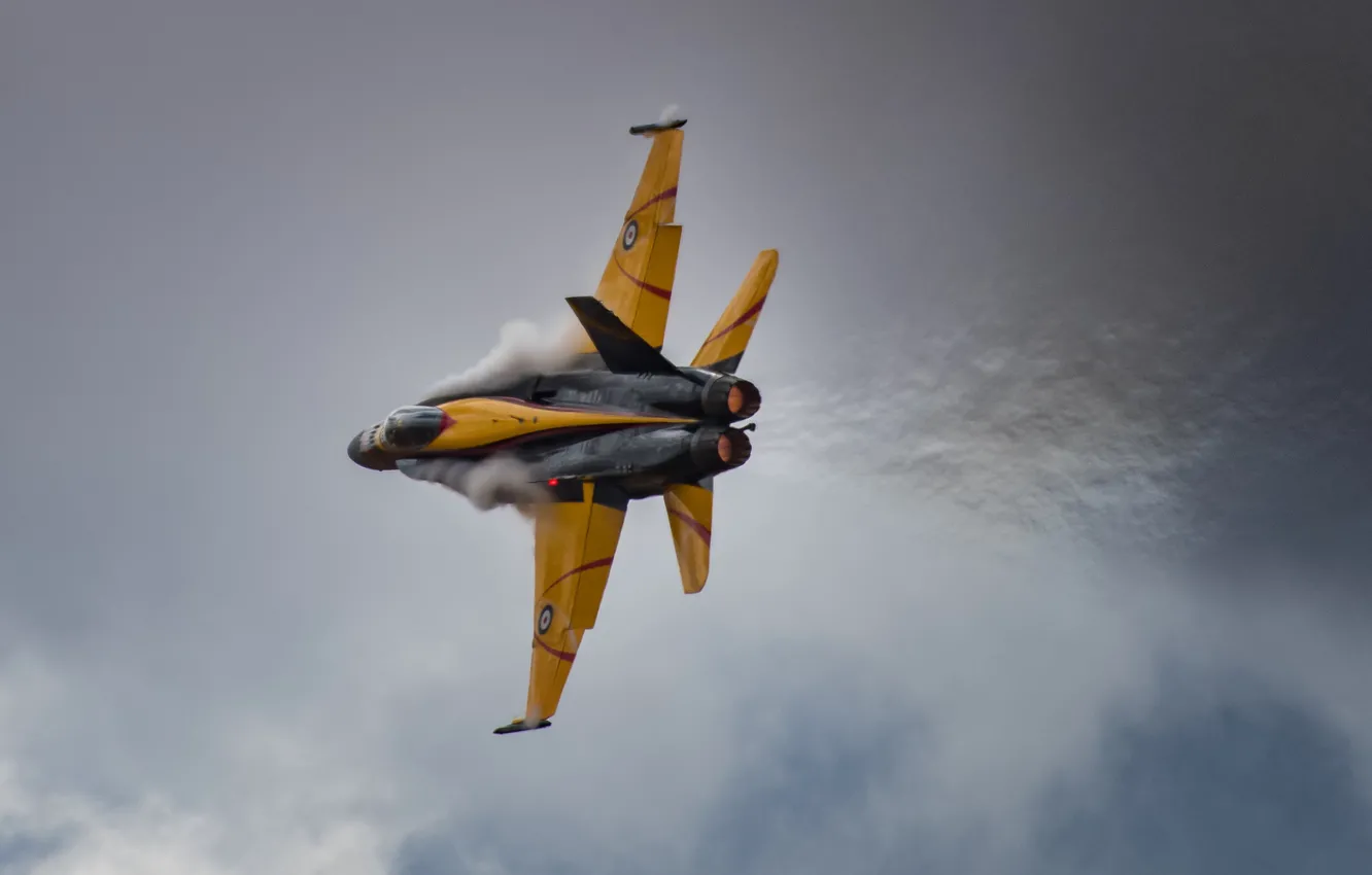 Photo wallpaper the sky, fighter, Hornet, Hornet, CF-18