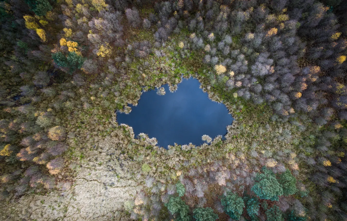 Photo wallpaper autumn, pond, woodland