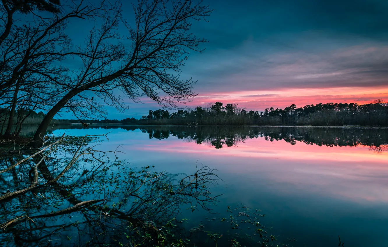 Photo wallpaper trees, landscape, sunset, nature, lake, shore
