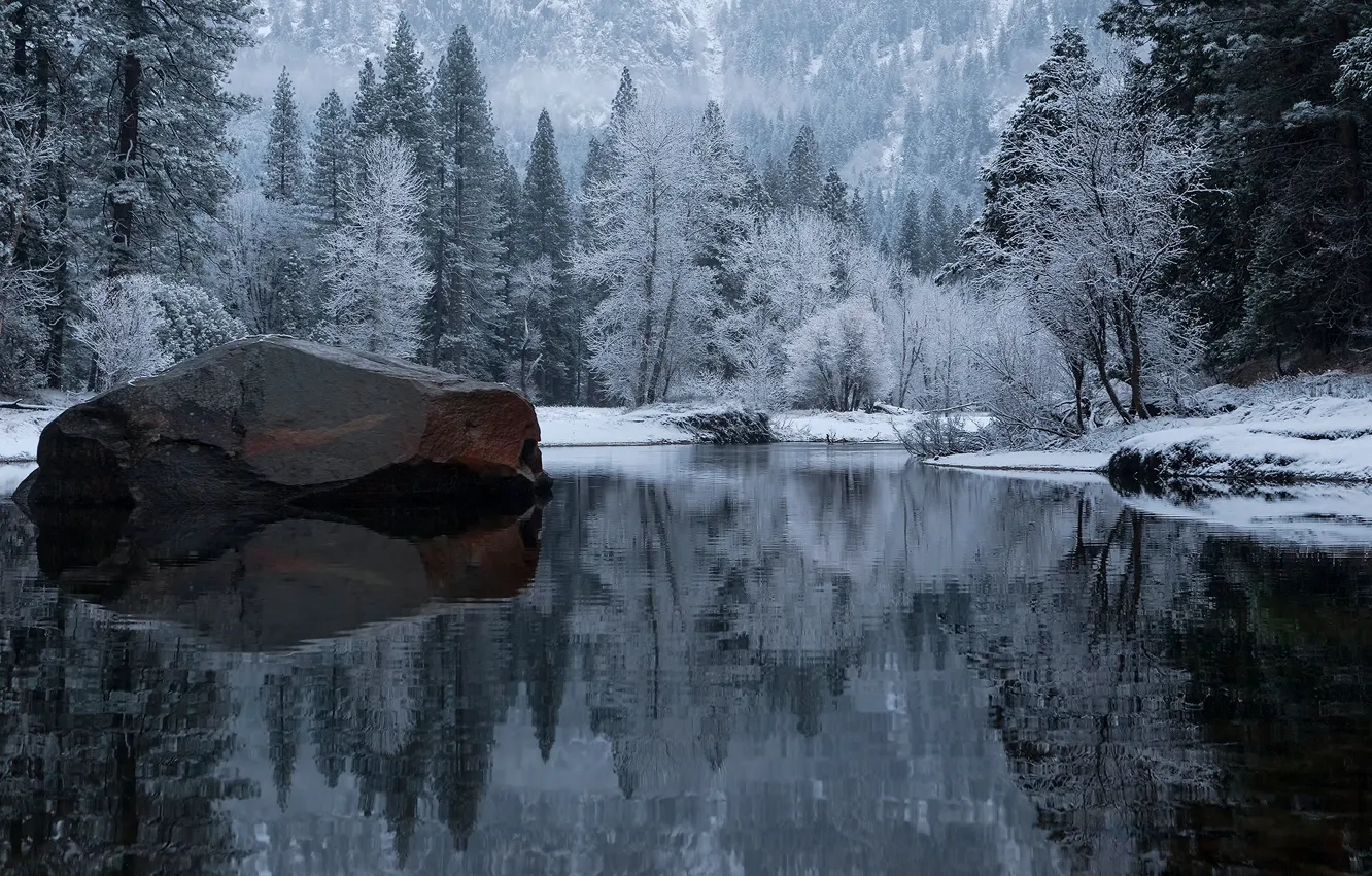 Photo wallpaper winter, forest, lake, stone, CA, USA, Yosemite, national Park