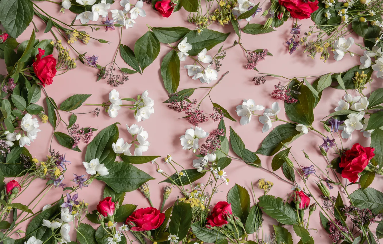 Photo wallpaper leaves, flowers, red, sprig, roses, petals, pink, white