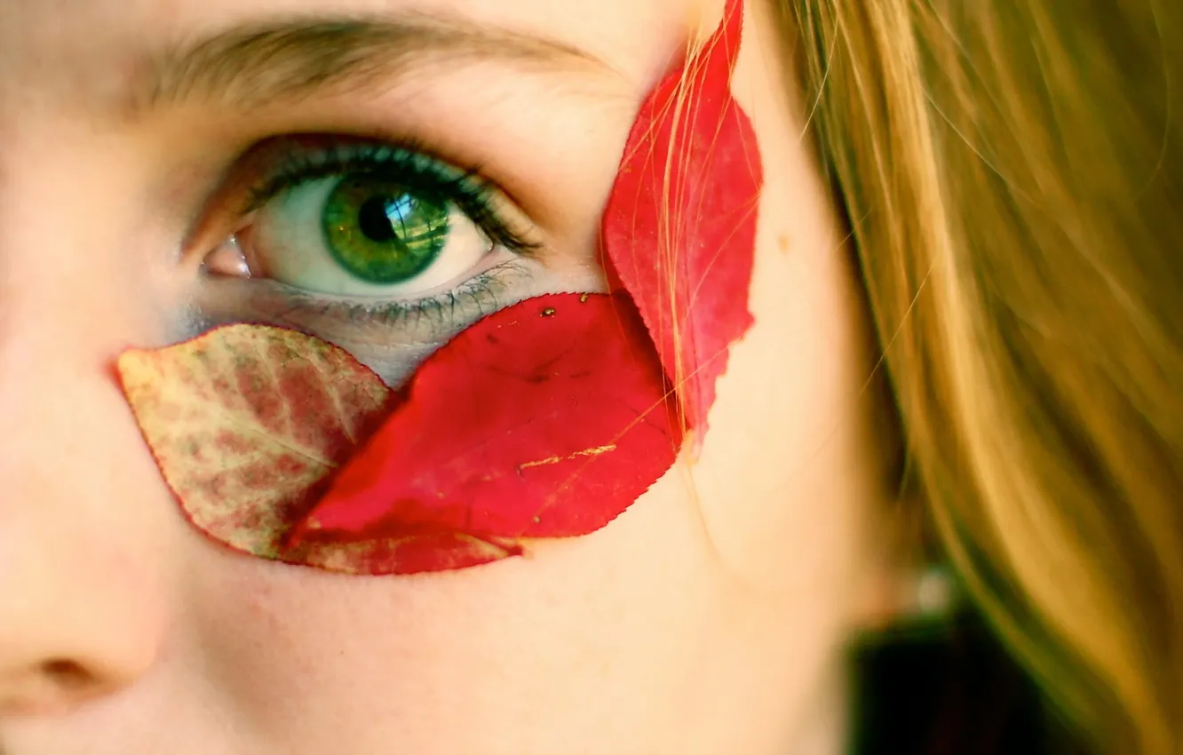 Photo wallpaper leaves, girl, macro