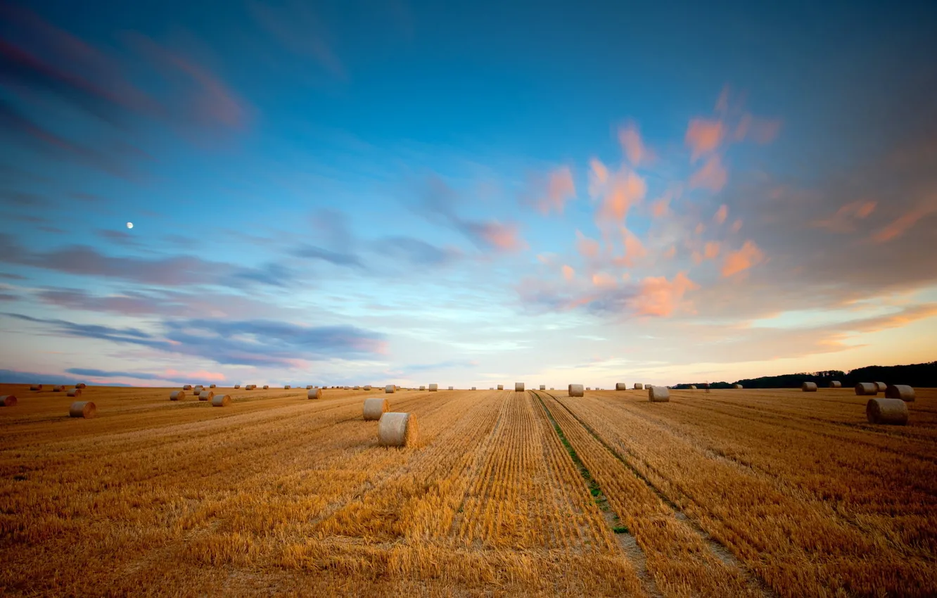 Photo wallpaper field, summer, the sky, landscape, hay