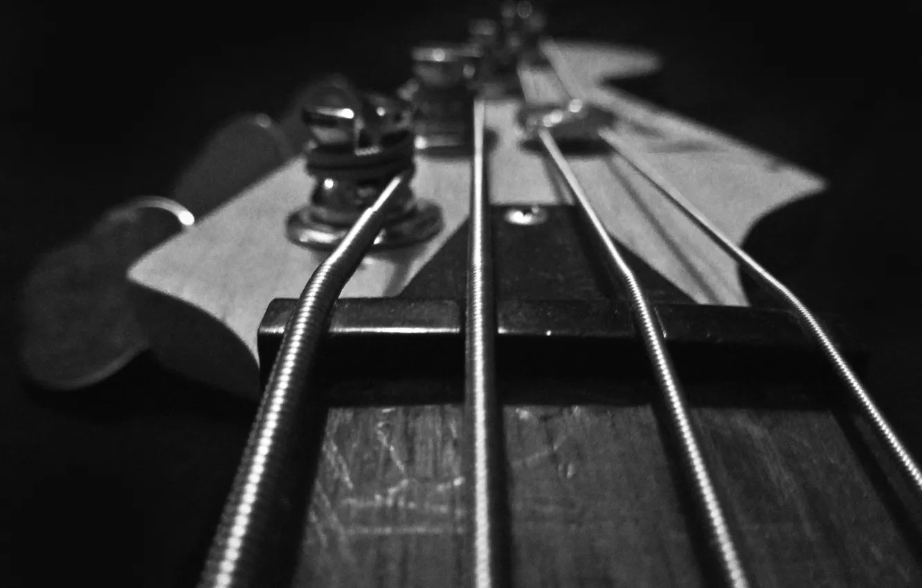 Photo wallpaper macro, guitar, strings, guitar, pick, Grif, bass, Bass