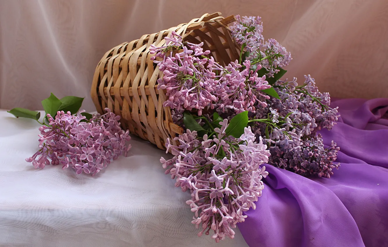Photo wallpaper flowers, basket, bouquet, spring, still life, lilac
