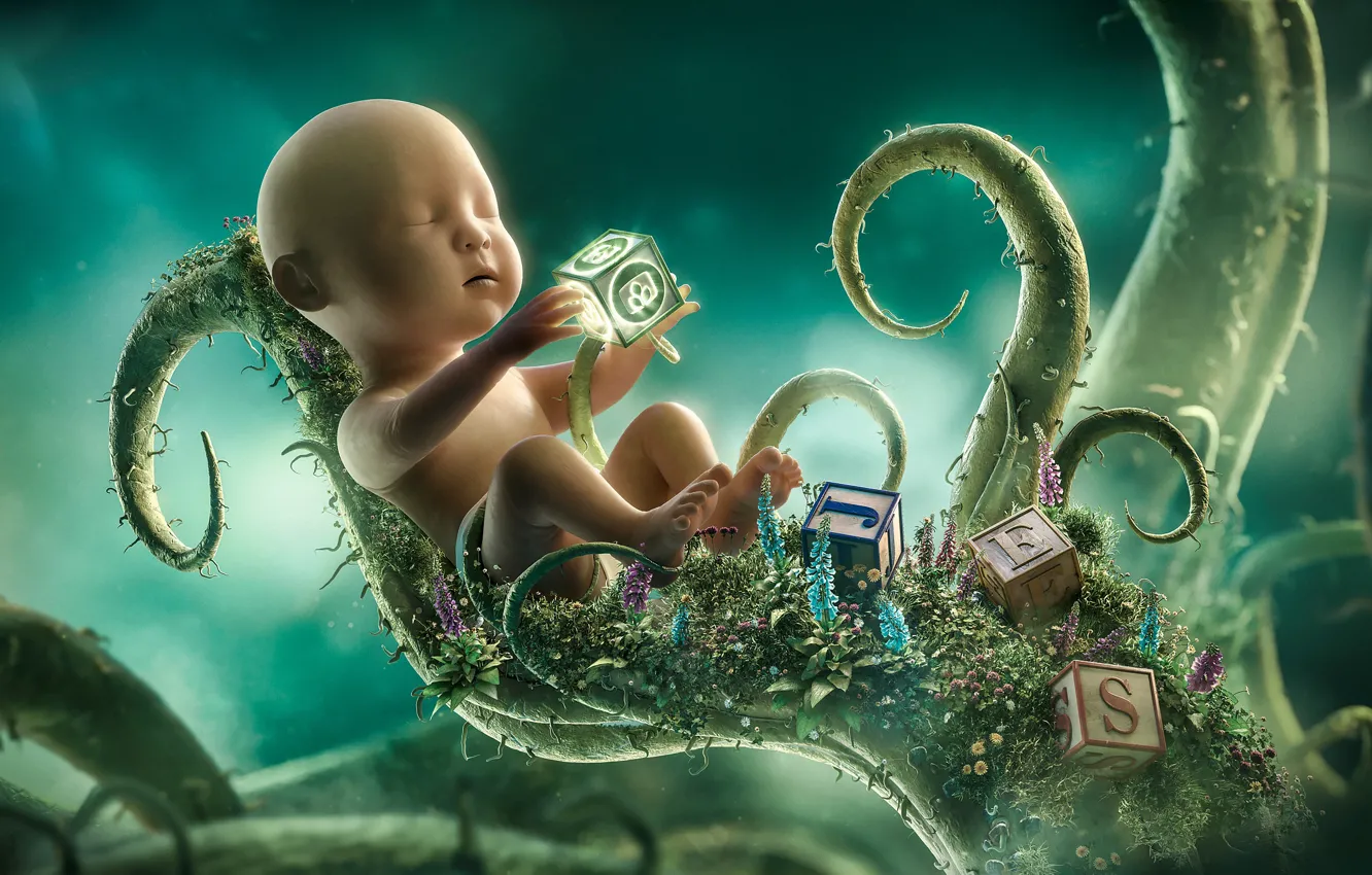 Photo wallpaper children, cubes, plant, desktopography, childhood, growth, development, training
