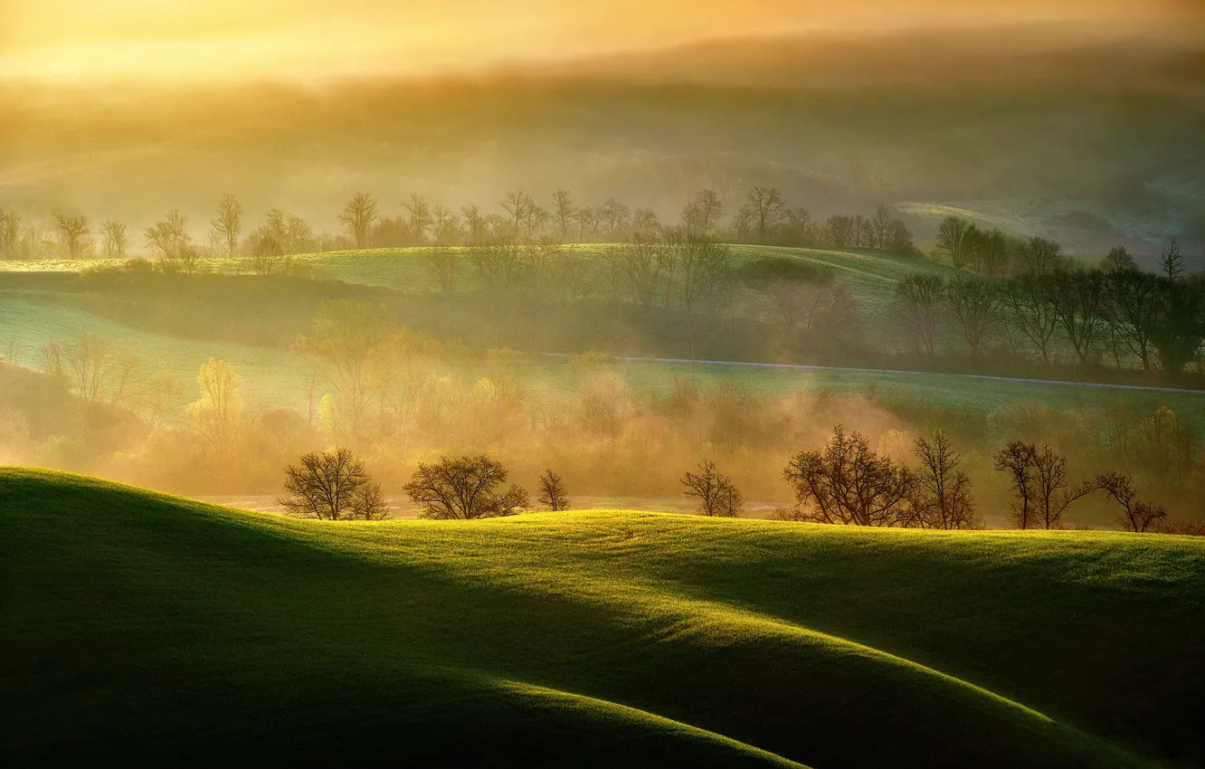 Photo wallpaper field, light, morning, pair, Italy, Asciano, Tuscany