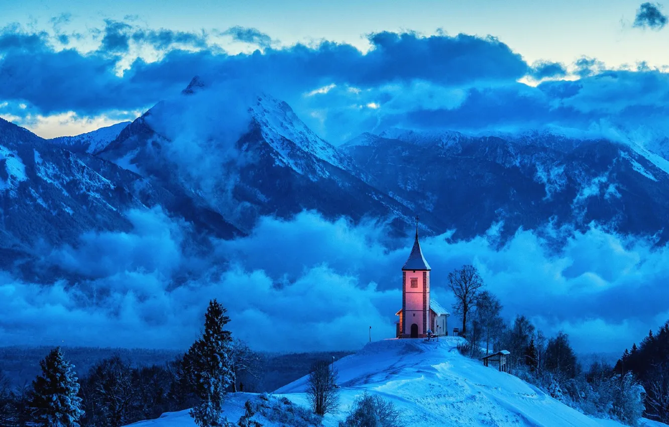 Photo wallpaper forest, twilight, sky, trees, landscape, nature, sunset, winter