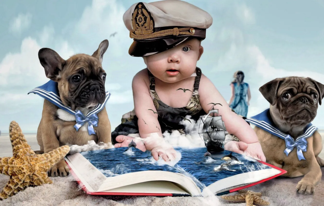 Photo wallpaper sand, clouds, childhood, child, starfish, owner, doll, two dogs