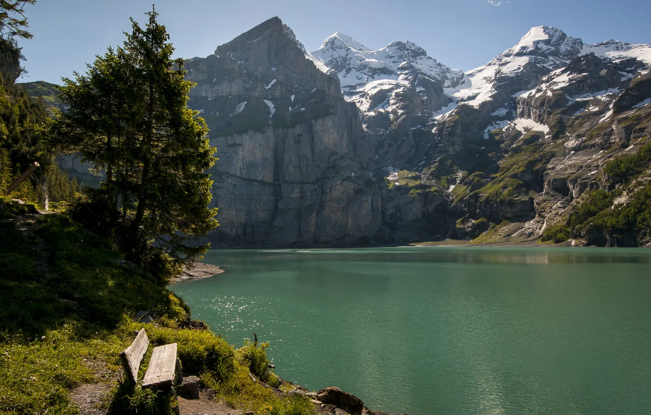 Photo wallpaper trees, mountains, bench, lake, Switzerland, Switzerland