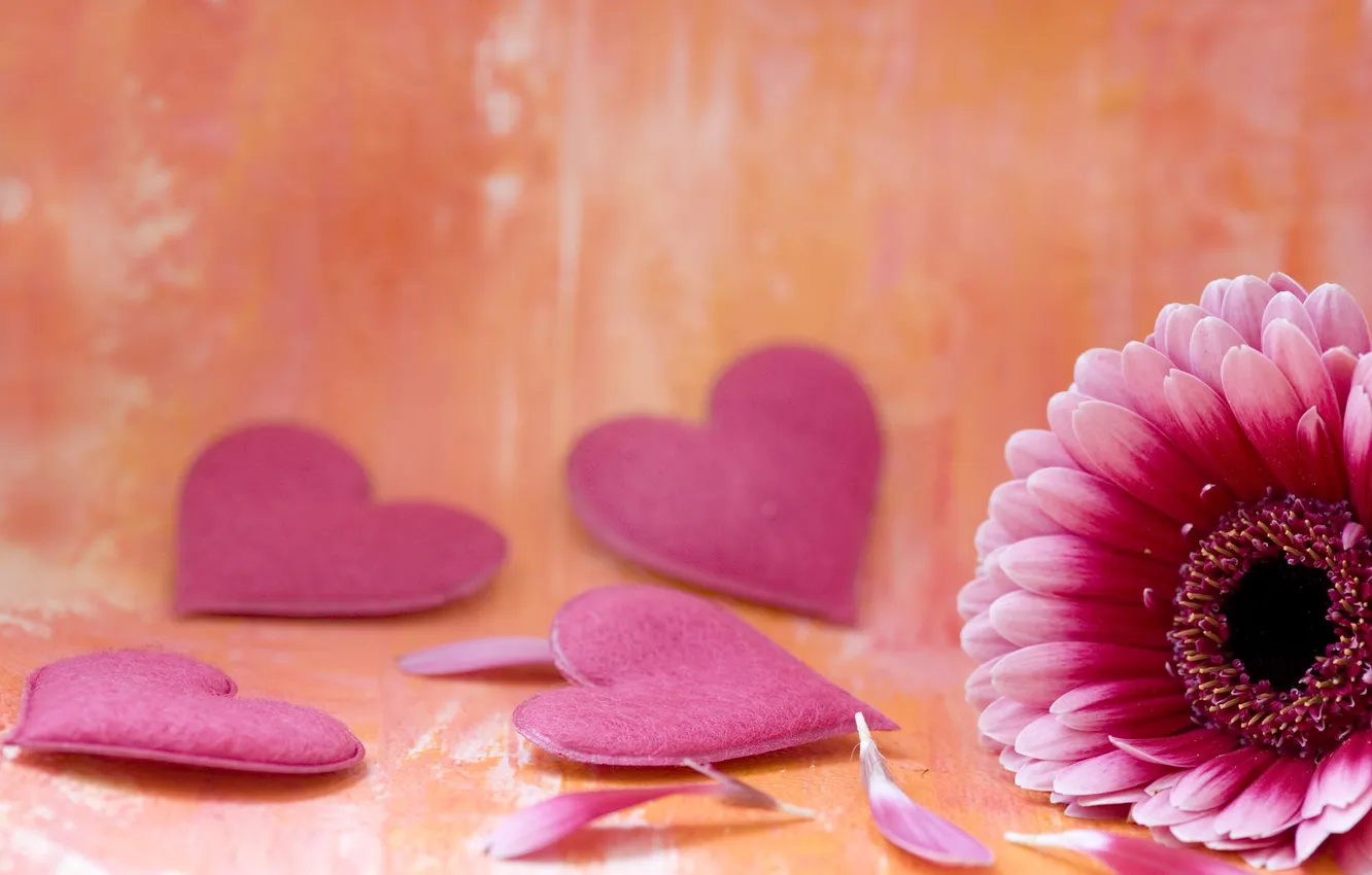 Photo wallpaper flowers, background, widescreen, Wallpaper, heart, hearts, wallpaper, pink