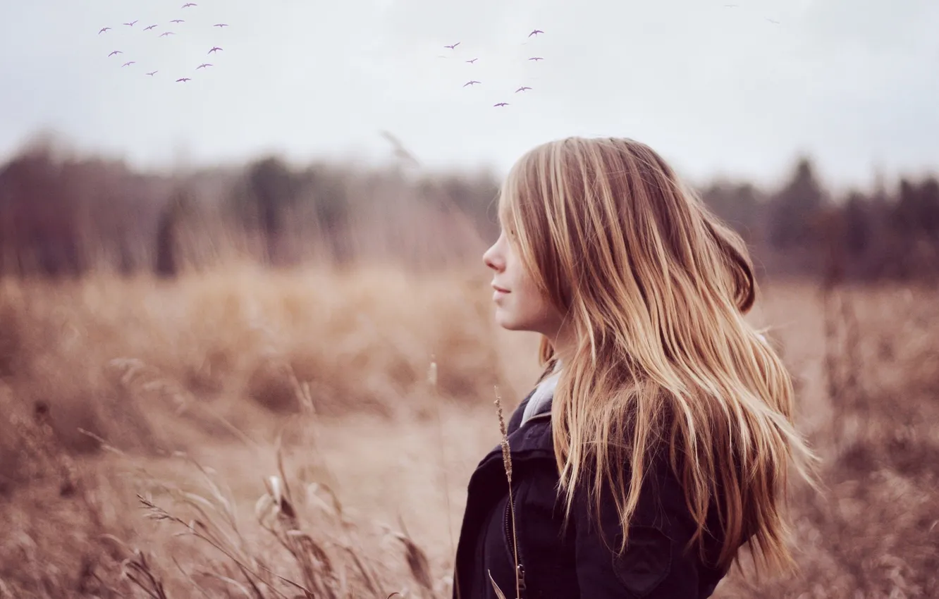 Photo wallpaper field, girl, nature, loneliness, plant