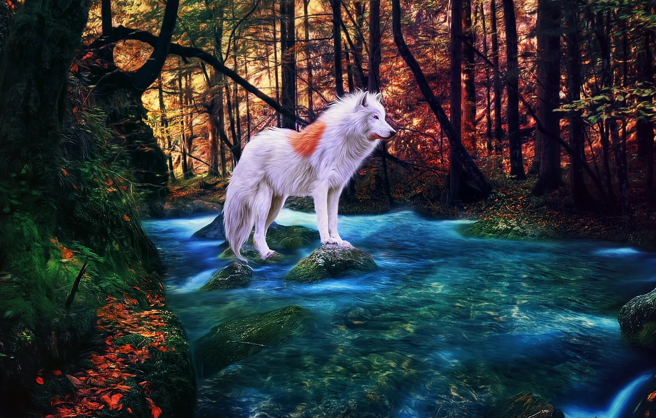 Photo wallpaper autumn, forest, river, albino, white wolf