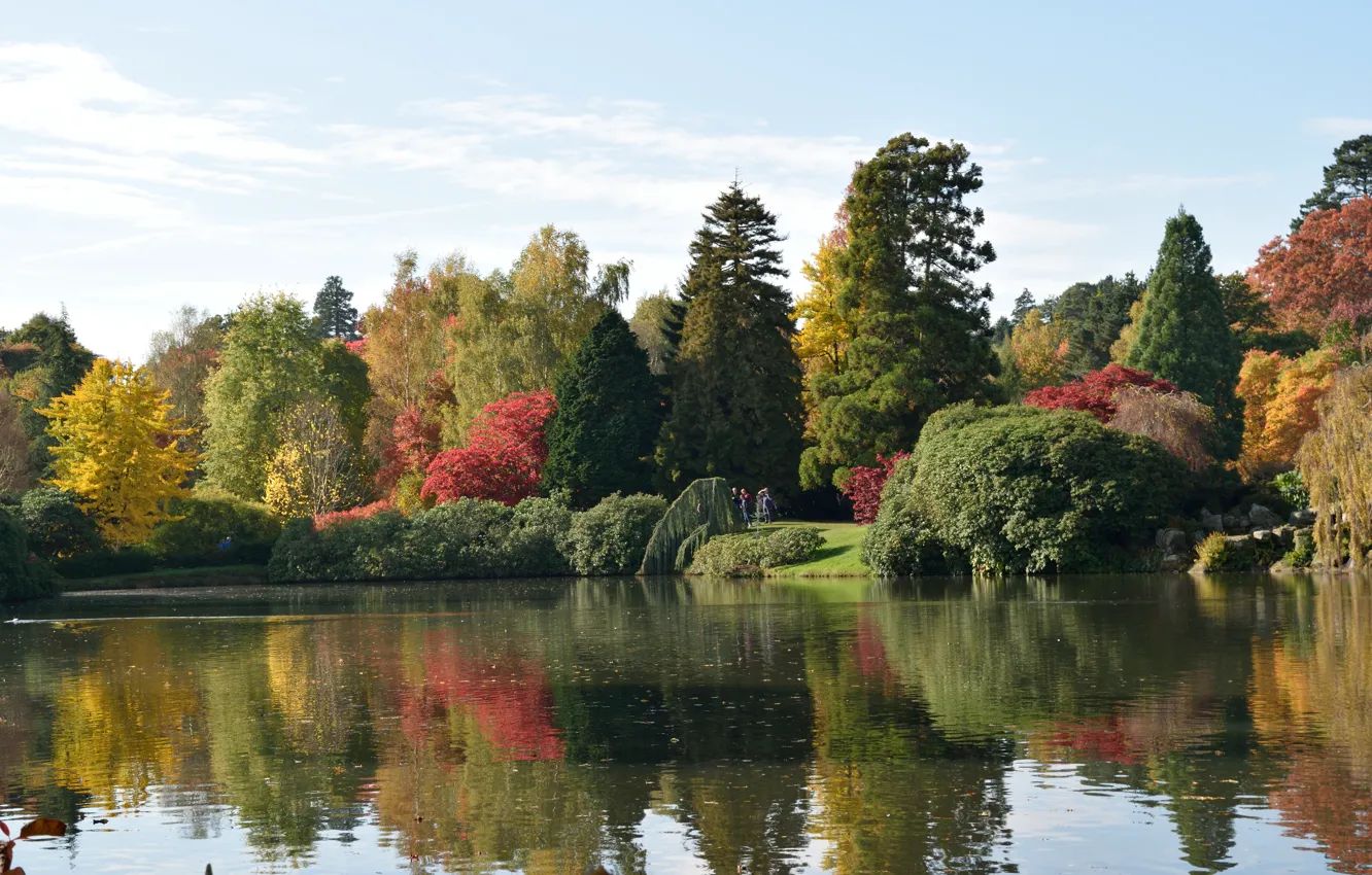 Photo wallpaper autumn, lake, England, colors, autumn, lake, England, Park Sheffield