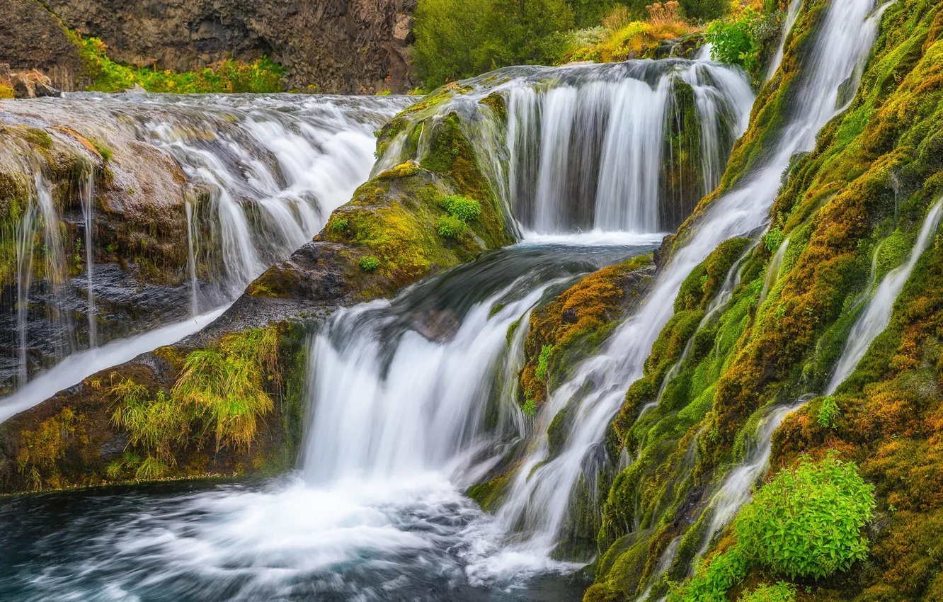 Photo wallpaper waterfall, moss, cascade, Iceland, Iceland, Gjáinfoss
