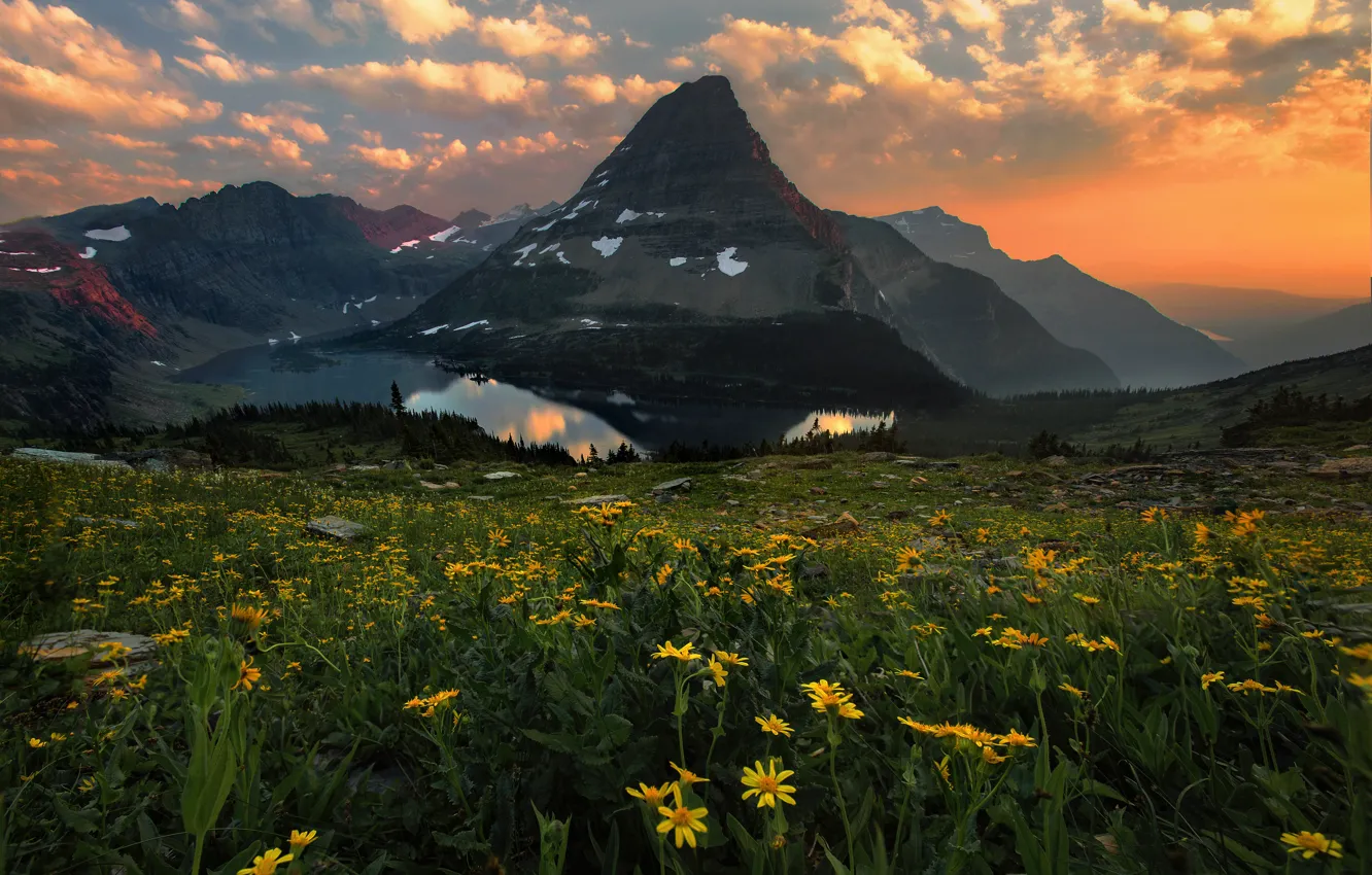 Photo wallpaper sunset, flowers, mountains, pond