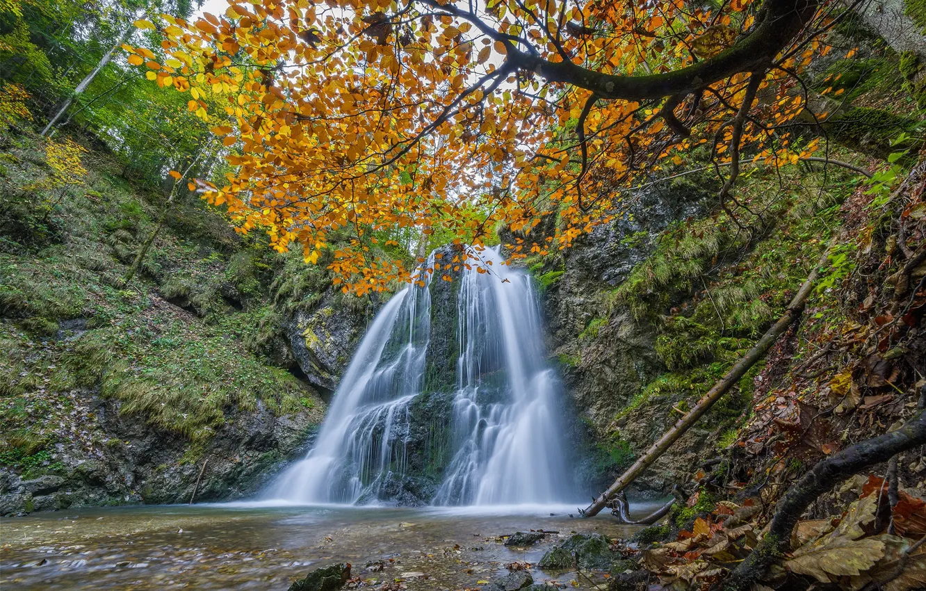 Photo wallpaper autumn, trees, rock, river, waterfall, Germany, Bayern, cascade