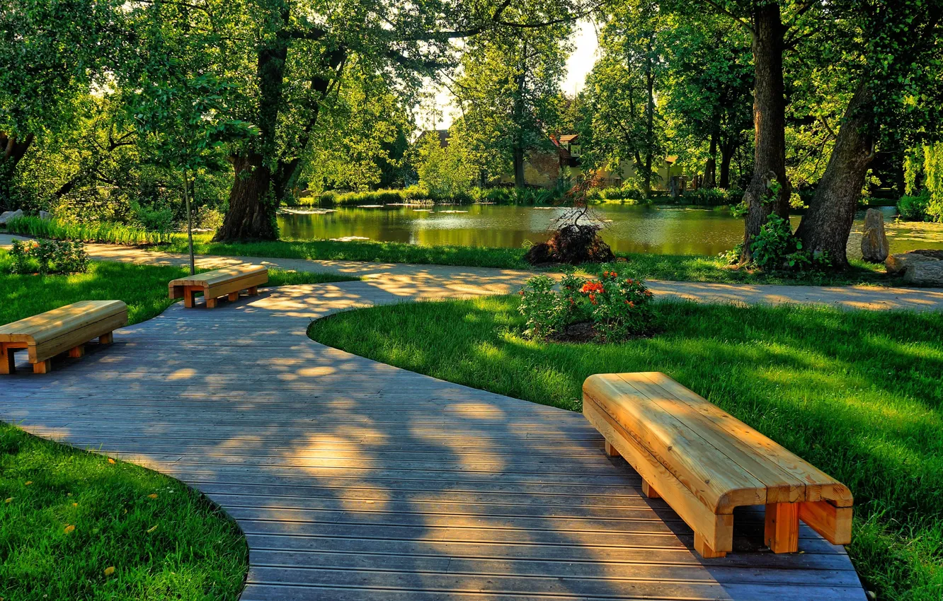 Photo wallpaper road, park, bench