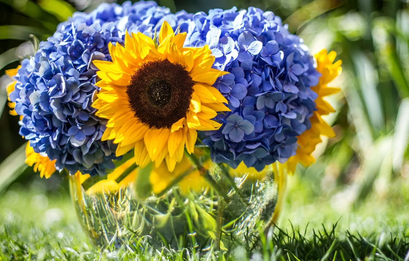 Photo wallpaper flower, summer, flowers, nature, sunflower, bouquet, blue