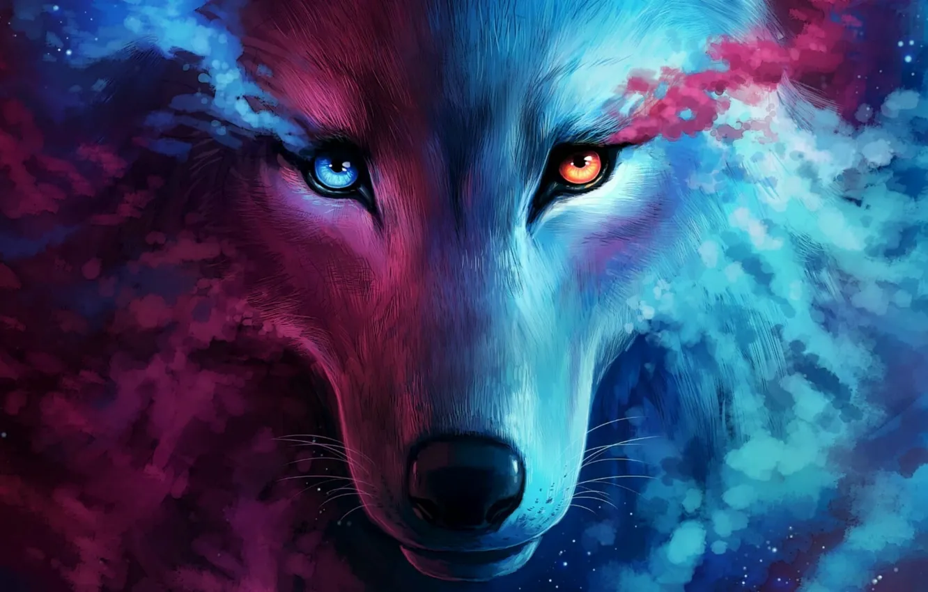 Photo wallpaper face, space, graphics, wolf, art, beautiful, space, graphics