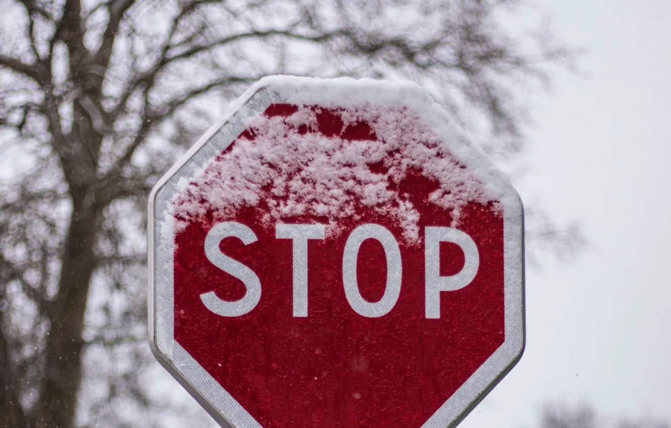 Photo wallpaper winter, snow, sign, stop