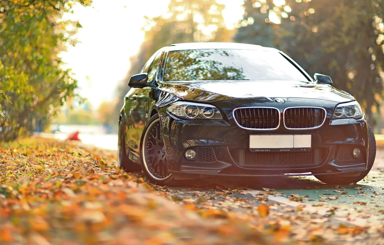 Photo wallpaper autumn, leaves, tuning, BMW, BMW, F10, 550, Drive