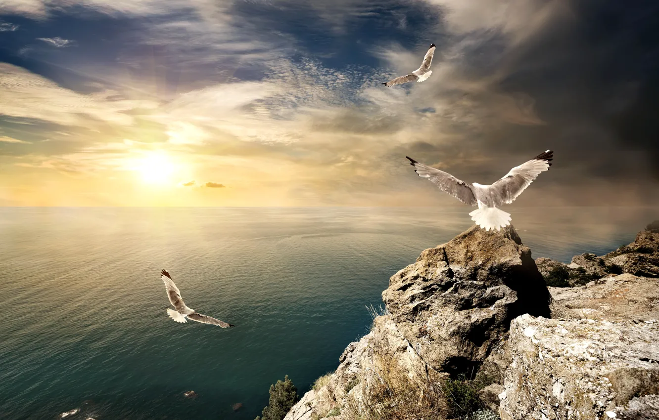 Photo wallpaper sea, the sky, the sun, clouds, rays, stones, rocks, dawn