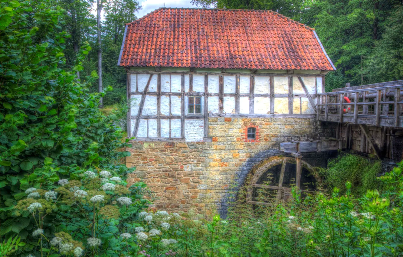 Photo wallpaper forest, trees, bridge, home, dam, water mill