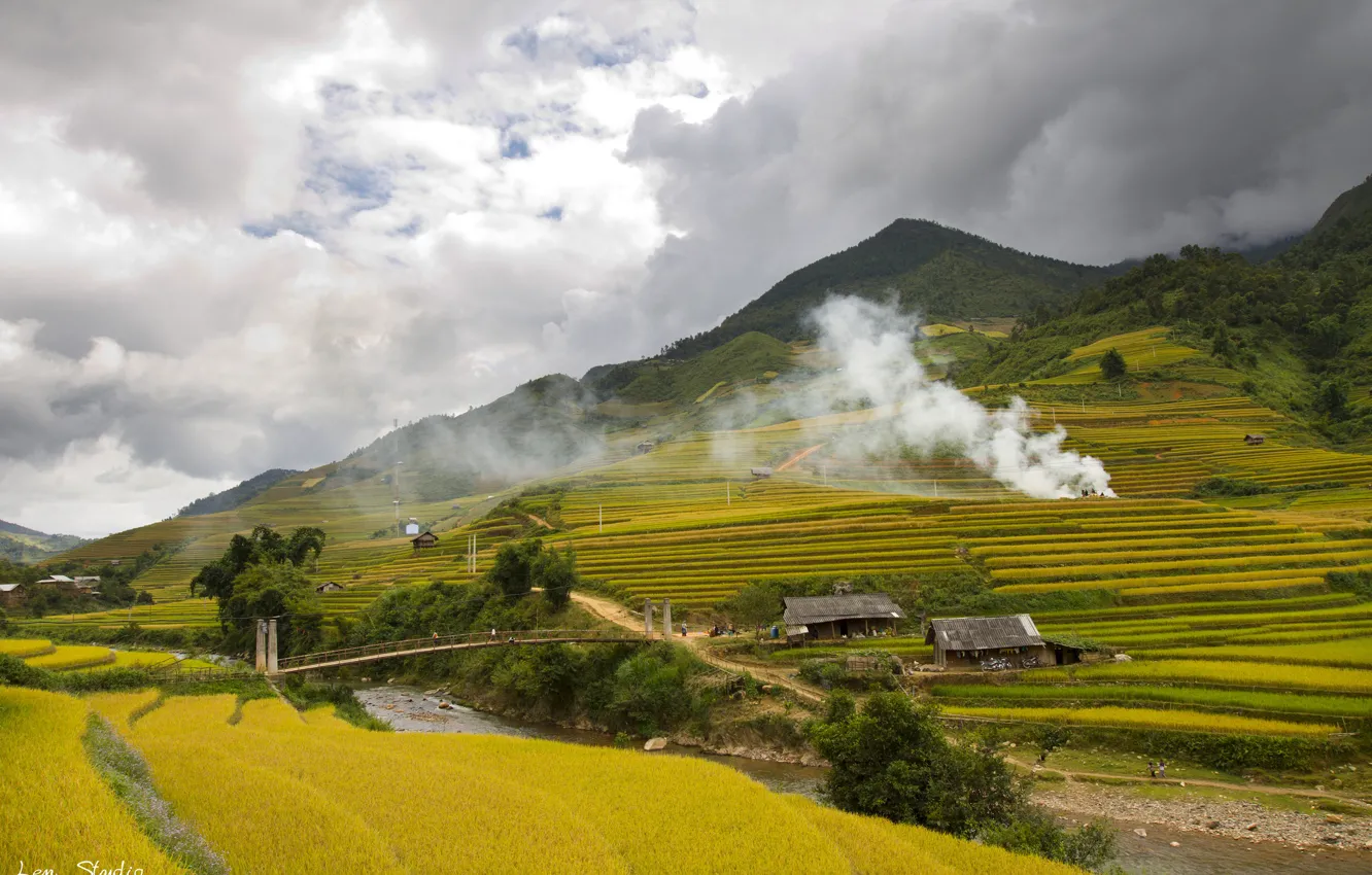 Photo wallpaper fields, Mu Cang Chai, Viet Nam