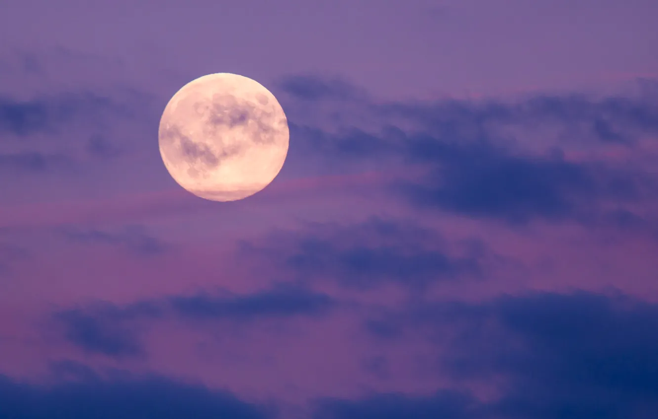 Photo wallpaper the sky, clouds, the moon, the full moon