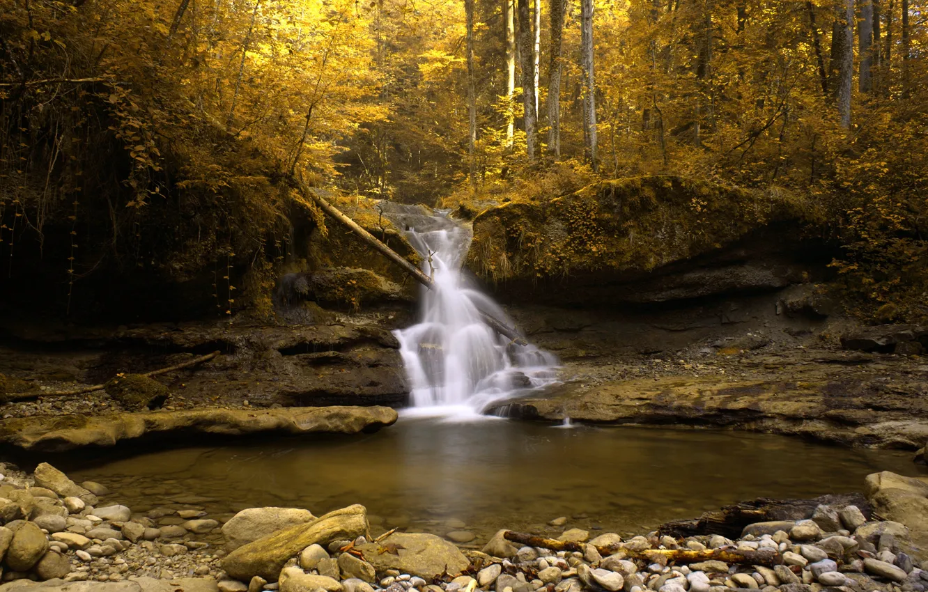 Photo wallpaper autumn, gold, stream, Switzerland