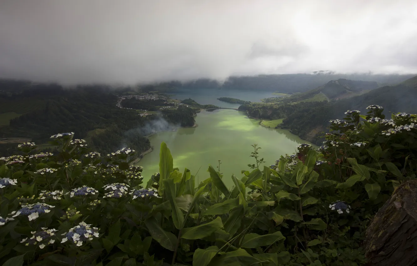 Photo wallpaper greens, leaves, clouds, flowers, mountains, fog, lake, overcast