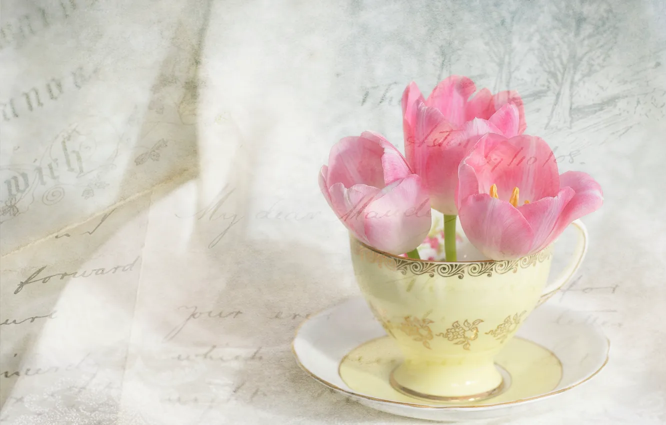 Photo wallpaper letter, flowers, Cup, tulips, pink, vintage, saucer