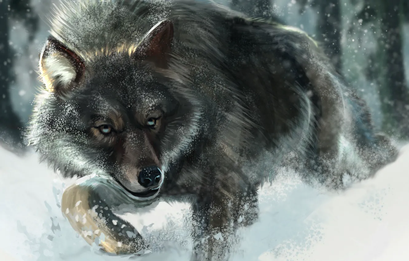 Photo wallpaper snow, animal, figure, wolf