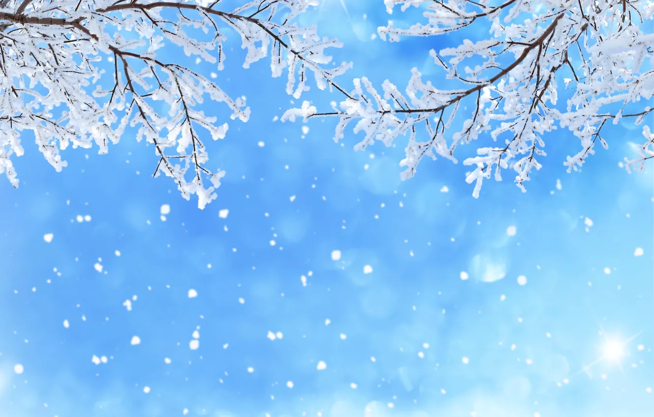 Photo wallpaper winter, the sky, snow, snowflakes, branches, glare, blue