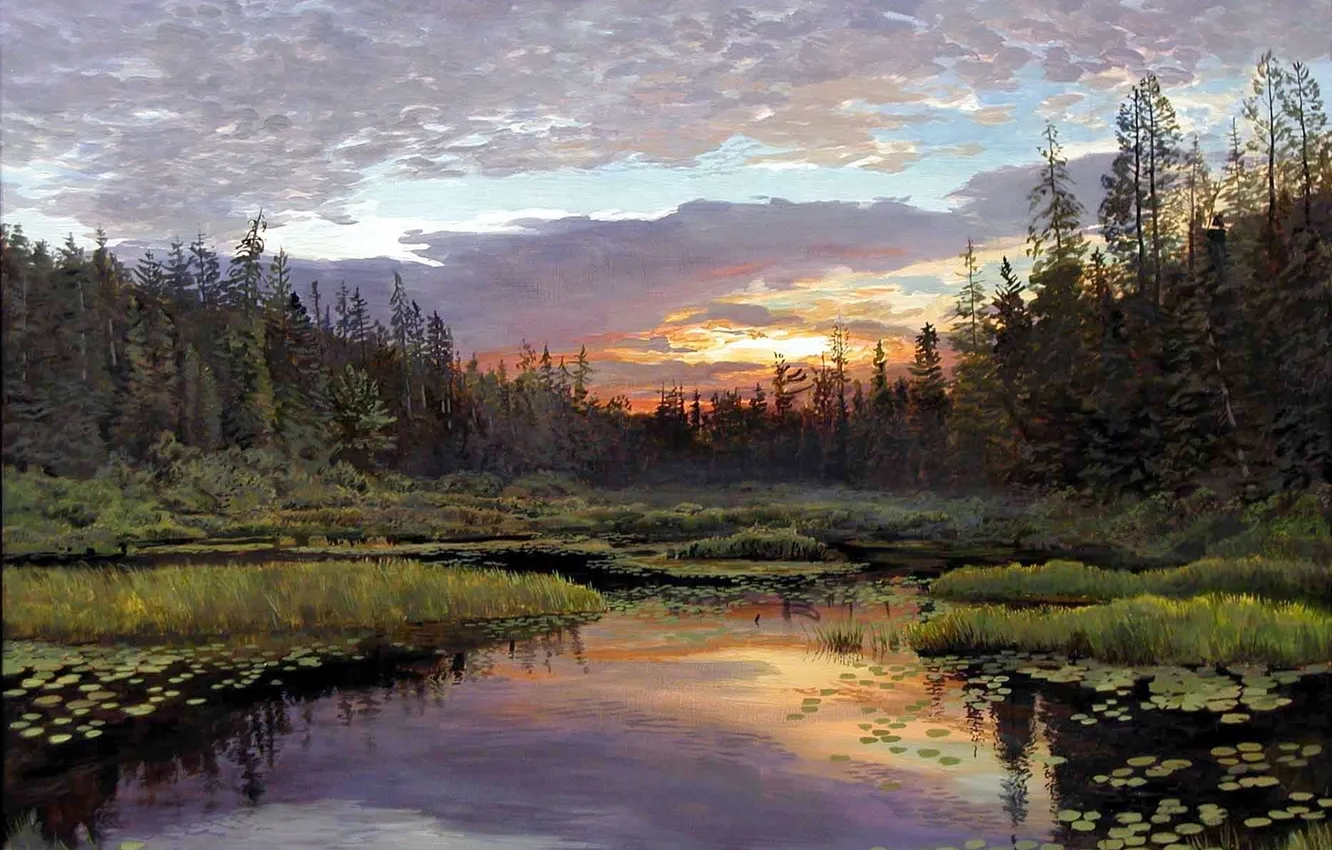 Photo wallpaper forest, nature, lake, dawn