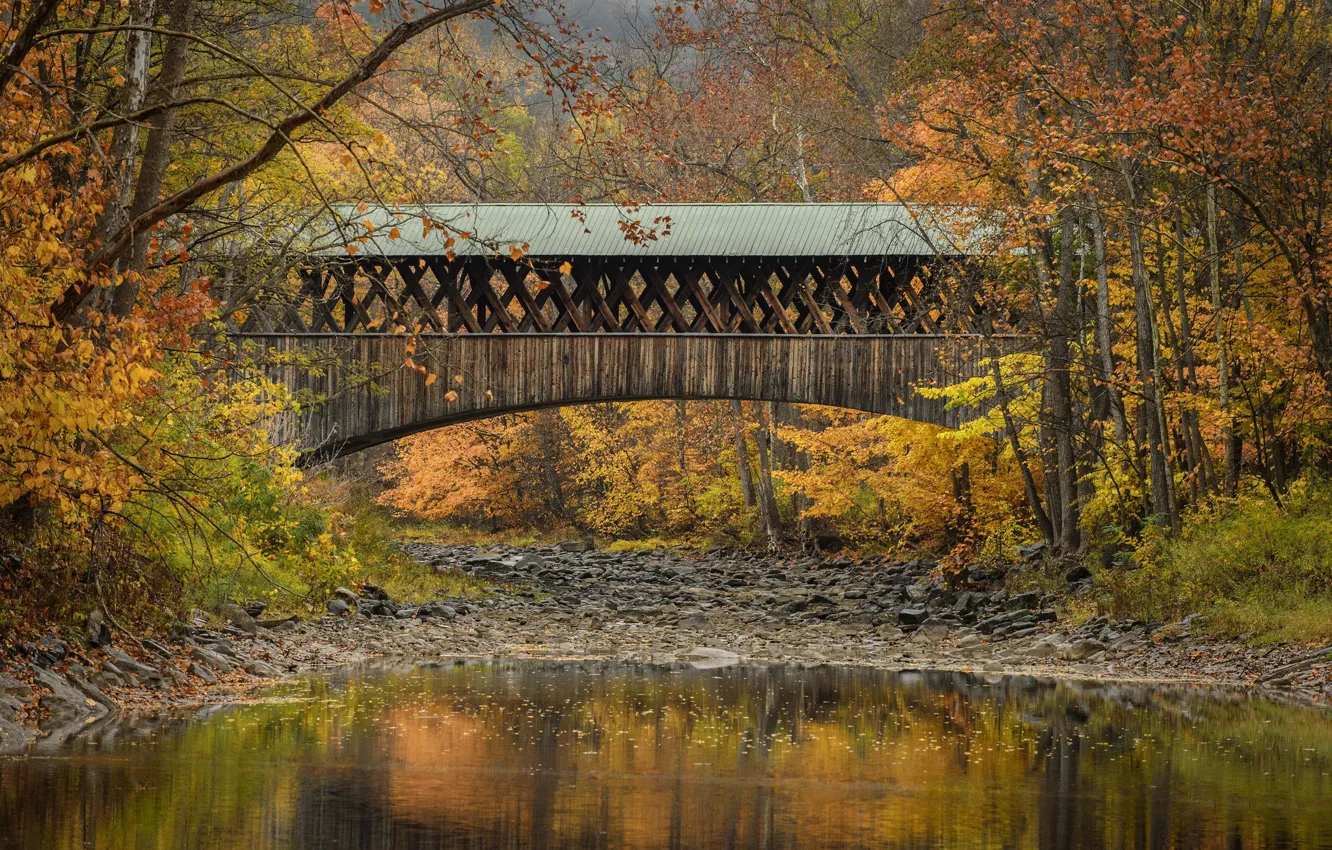 Photo wallpaper autumn, trees, bridge, river, Blenheim, State of New York