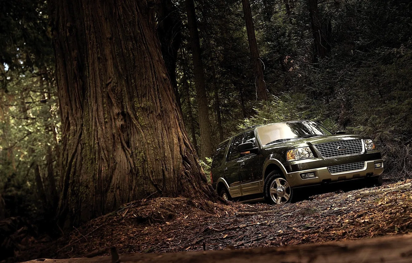 Photo wallpaper forest, Ford, Expedition