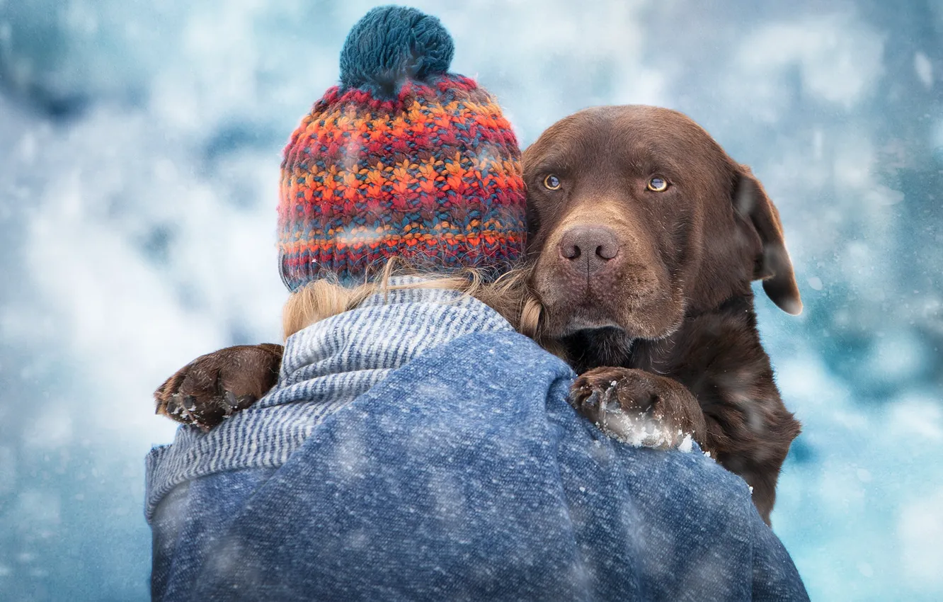 Photo wallpaper face, girl, snow, hat, dog, Labrador Retriever