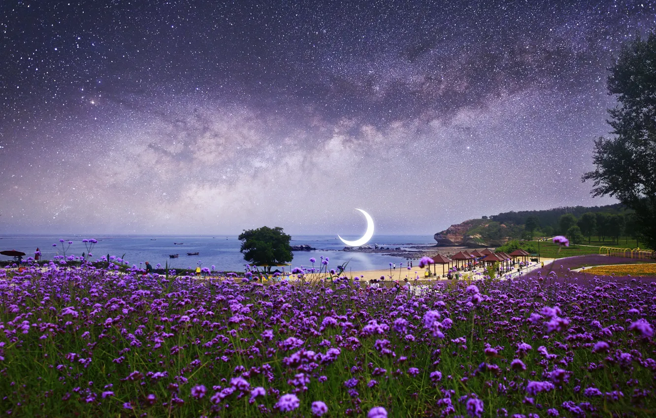 Photo wallpaper field, beach, water, stars, flowers, night, fiction, the moon