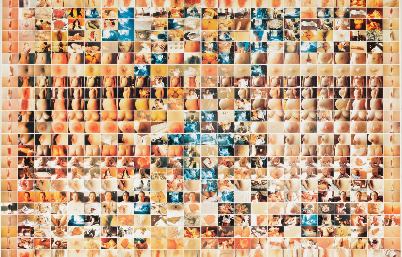 Photo wallpaper collage, picture, Magdalena Frey, Austrian artist, Magdalena Frey