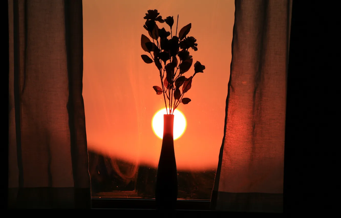 Photo wallpaper sunset, flowers, window