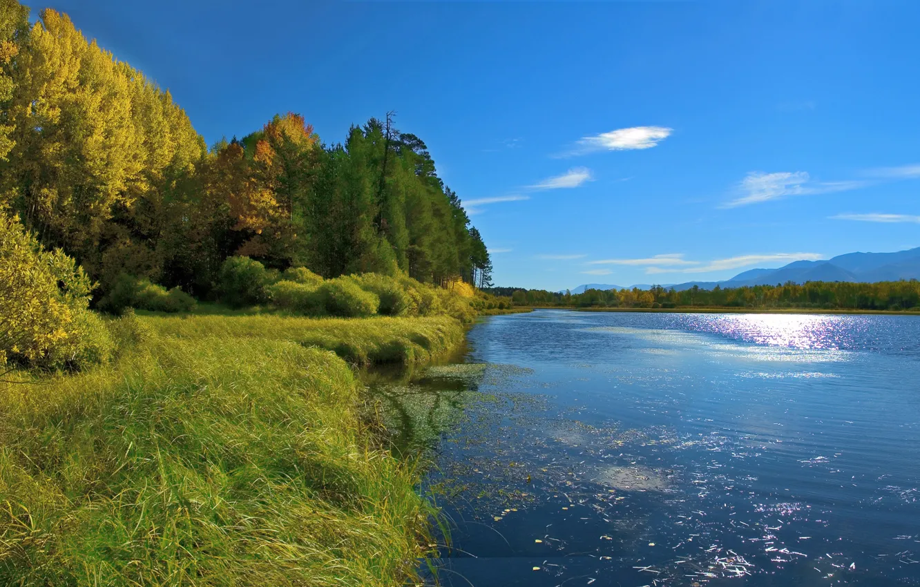 Photo wallpaper autumn, forest, the sky, grass, the sun, trees, mountains, river