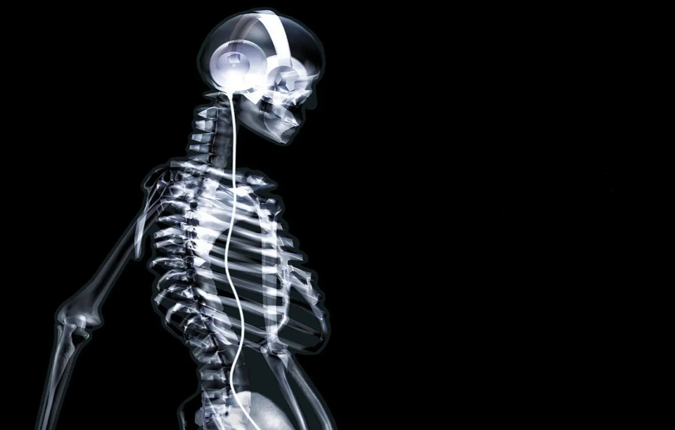 Photo wallpaper background, black, headphones, skeleton, x-ray, the