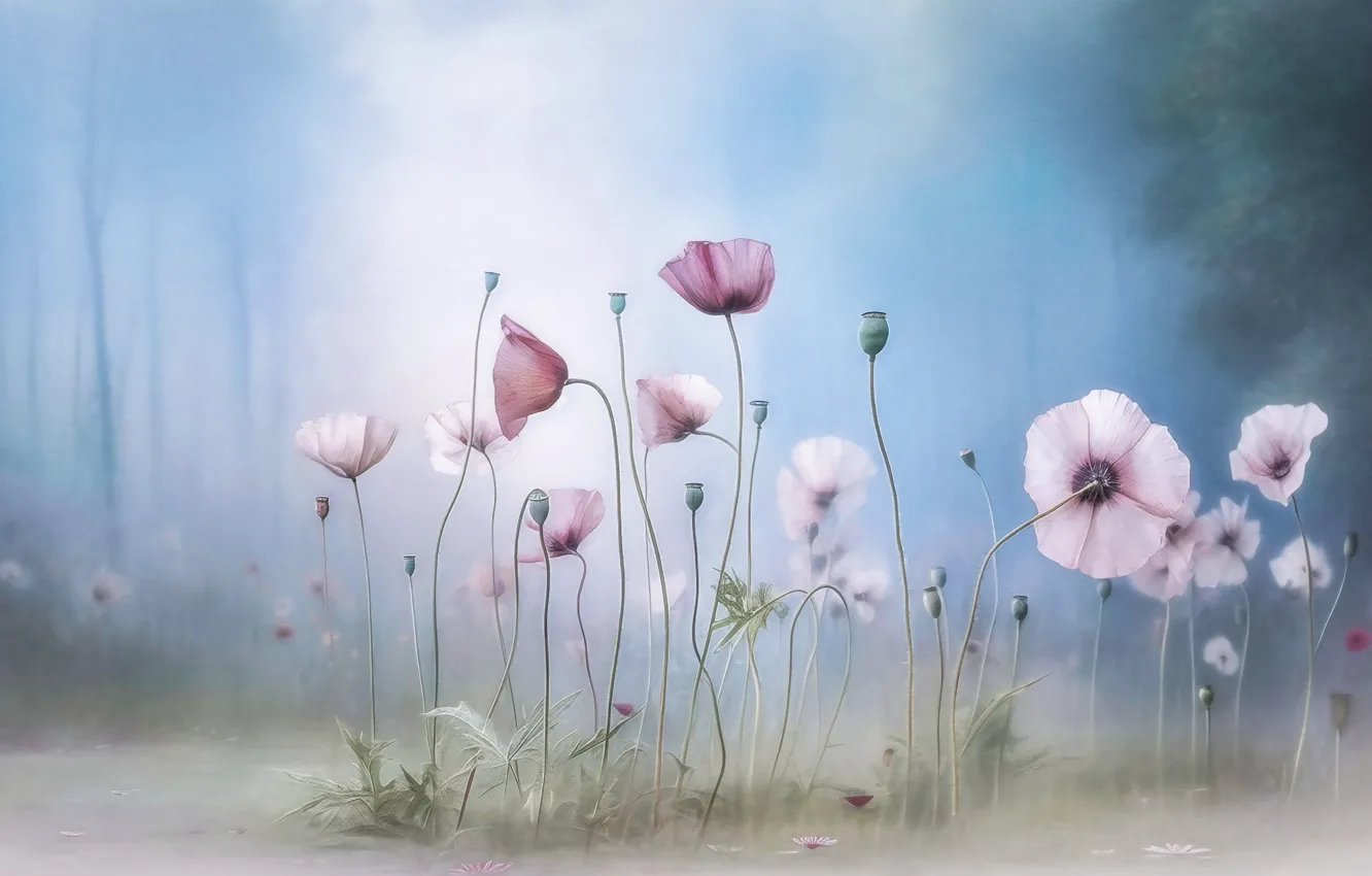 Photo wallpaper forest, flowers, nature, fog, glade, Maki, blur, haze